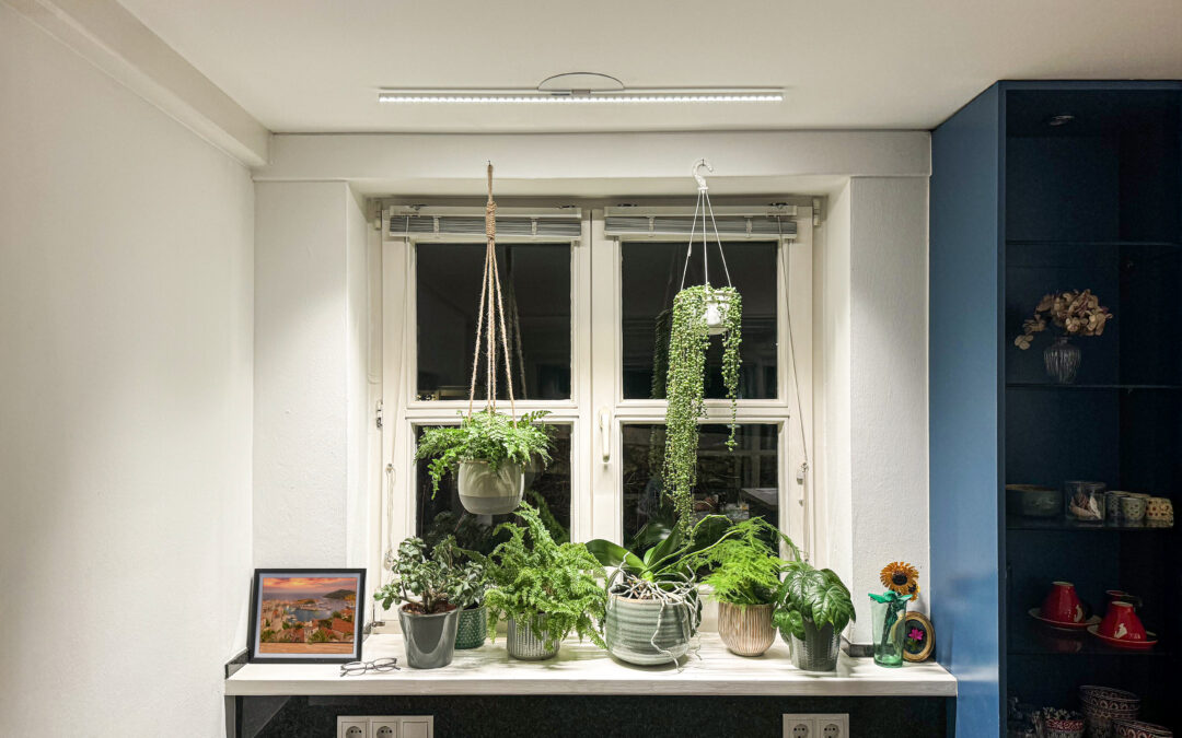 Private Residence – Lighting Renovation